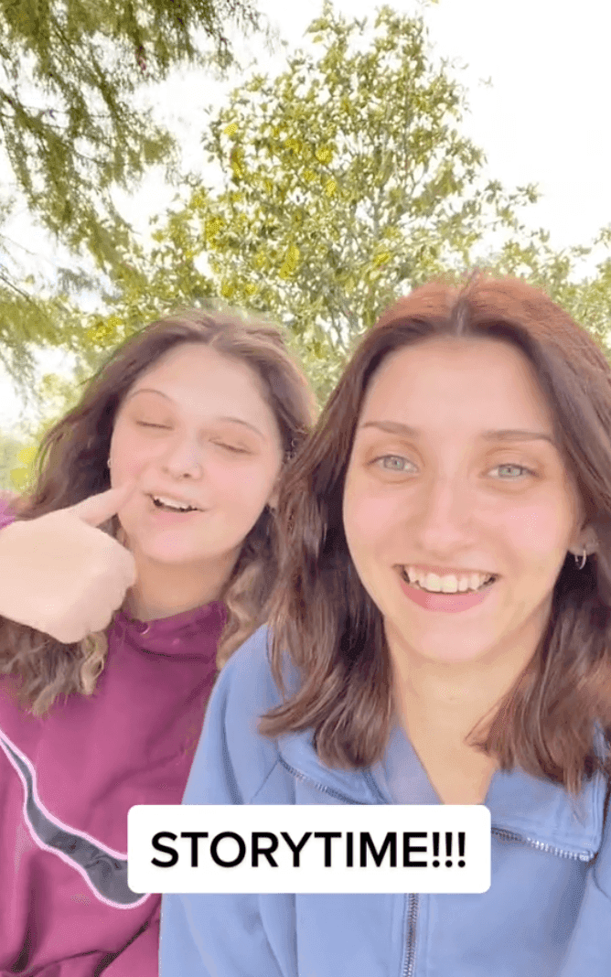 Preview image of a storytime TikTok
